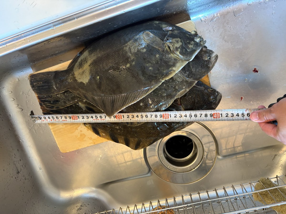 KITASUNStrc's tweet photo. 家族を放置して3週連続でタミグラにでたから
息子から車中泊と釣りをせがまれ
広尾港で夜釣りからの朝マズメ
ワンチャンアキアジウキルアーとぶっ込み2本で
イシガレイ3枚でフィニッシュ
全部43cm！

#家族サービスもラジコンの一部
#EX10のAGRが気になる
#月がきれいだ https://t.co/q0BEgwu4Cw