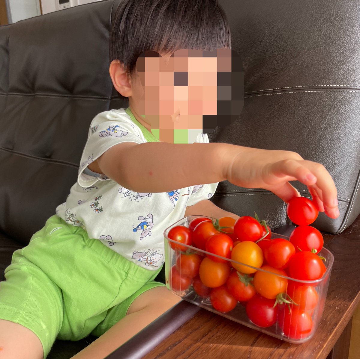 hidecamp22's tweet photo. 毎年カゴメのミニトマトをプランターで育てています！
3-4歳の子供が毎朝起きたらプランターに行ってトマトを収穫して食べるのが楽しみだったのですが、秋冬も育てられるのは親目線でも嬉しすぎます！

#秋冬もカゴメの野菜育て隊 https://t.co/aBawsgCRjp