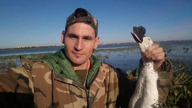 infobae's tweet photo. DENUNCIARON A UN INFLUENCER POR CAZAR Y DIFUNDIR IMÁGENES DE AVES PROTEGIDAS EN SANTA FE

Un influencer de caza de Santa Fe fue denunciado penalmente por difundir en redes sociales imágenes de aves protegidas que habría cazado en la laguna Setúbal. El material mostraba ejemplares muertos de distintas especies de patos y, según el Ministerio de Ambiente y Cambio Climático, parte de esas capturas habría ocurrido en infracción a la normativa.

La denuncia se apoya en una posible vulneración de la Ley Provincial N.º4.830, que regula la protección de la fauna silvestre. Desde la cartera ambiental indicaron que el caso reúne presuntas faltas vinculadas con especies cuya caza está prohibida, actividad fuera de temporada, incumplimiento de cupos, utilización de zonas vedadas y falta de habilitaciones.

Infobae🔗https://t.co/K9arPxM1Pm