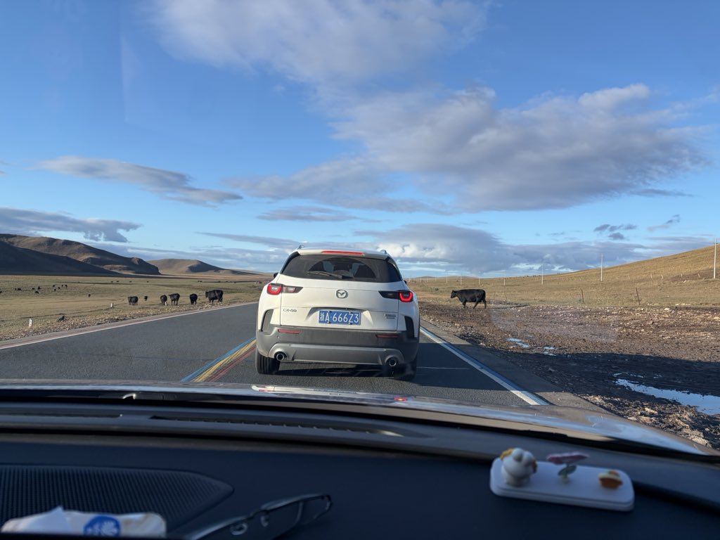 beibei1016's tweet photo. 杭州自驾到大兴安岭的路上，单程2500km，一路上遇到大多数苏浙的车牌，还是江浙的朋友热玩啊 https://t.co/r5VGjVBhKC