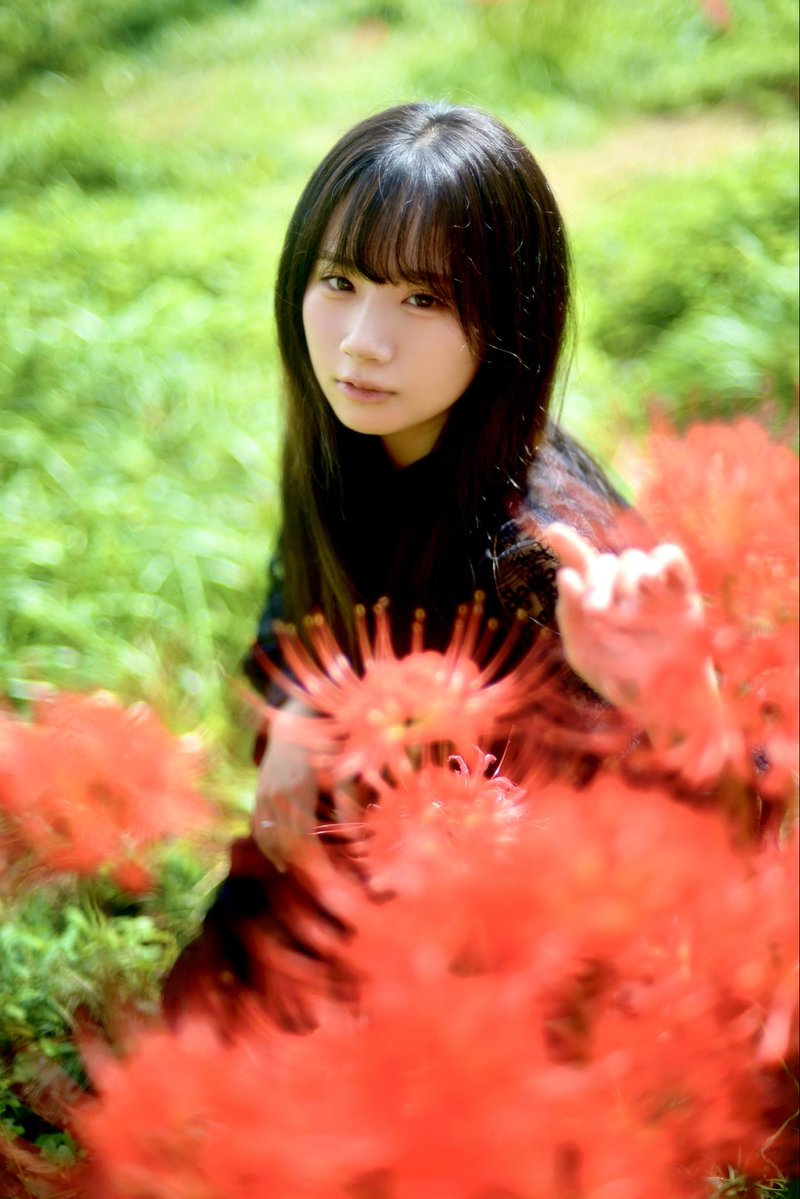 mahou7716's tweet photo. 儚い花

Model：ほのか
@hOn0ka_3 
@nanasaku31 
ほのかちゃんは…
やっぱり素敵やなぁ！

こんばんは😊
日曜日、お疲れ様でした！
明日からまた
頑張りましょう！ https://t.co/LbSoRENeVh