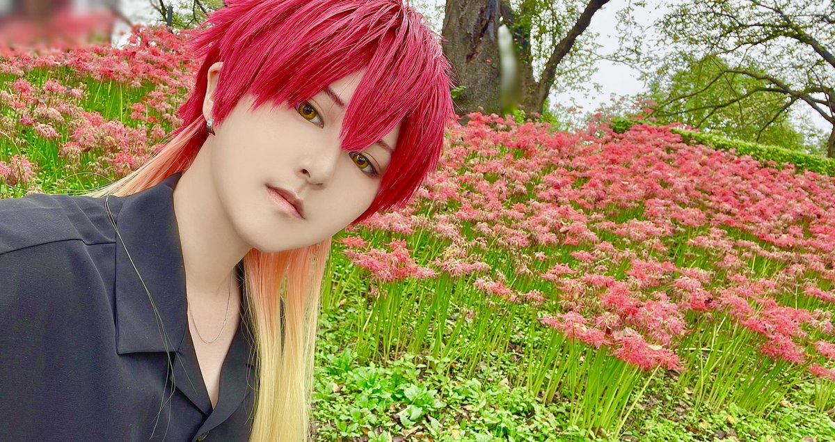 haiji_mame's tweet photo. 【cos】WB
彼岸花〜！！！！！！！ https://t.co/4MlOjhr5J3