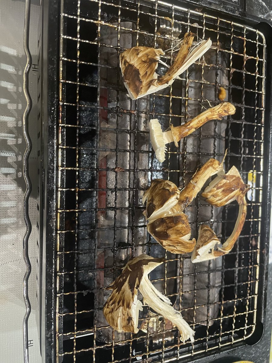 kaigo_akaruku's tweet photo. 令和の虎とか出てると
浮世離れした金の使い方してそう！

たぶん、そう見られているよな？

でも俺、元々貧乏やったから
今でも普通にコスパ気にする！

飛行機はエコノミーで全然いい。
だってビジネスやファースト高いもん。

とはいえ
旅行もする。外食もする。
そこに支払う価値があるならば！

でも家で飯食う日も普通に多い。

高いものが好きというより、
無駄に高いものが嫌い。

結局これ、俺が庶民感覚あるというより妻のおかげでしかない。

（べ、別に…つ、妻の機嫌とってない）

今日も外で食べたら高そうな食材を、
妻が買ってきて家で普通に食べてる。

贅沢って
高い店に行くことじゃなくて

家でこれうまいなって言いながら
食べることかもしれんなって思いながら妻に感謝と謝罪しております🙇🏻💦