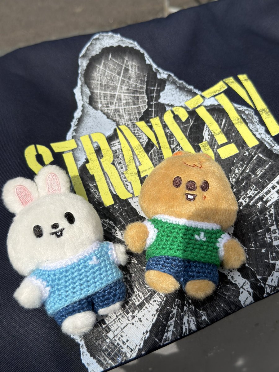 M2H5minsung's tweet photo. Stray City @Estadio GNP Seguros🇲🇽 https://t.co/DemyFGebmI