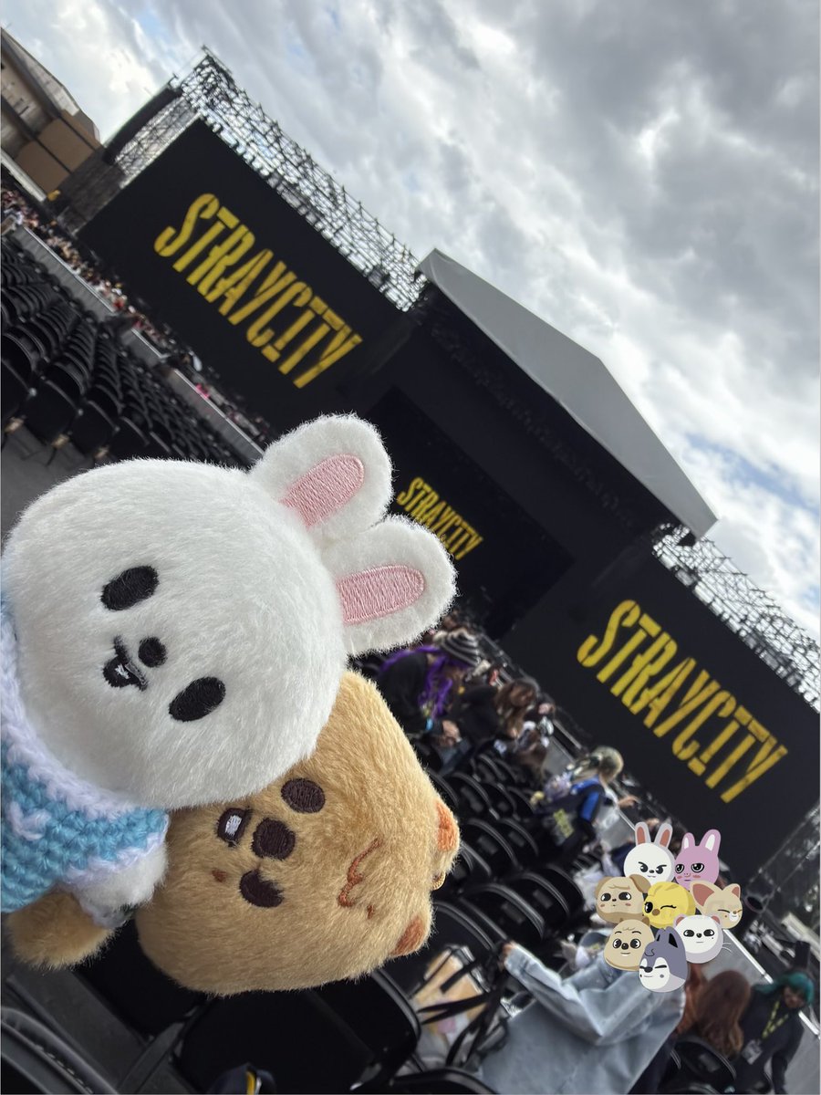 M2H5minsung's tweet photo. Stray City @Estadio GNP Seguros🇲🇽 https://t.co/DemyFGebmI