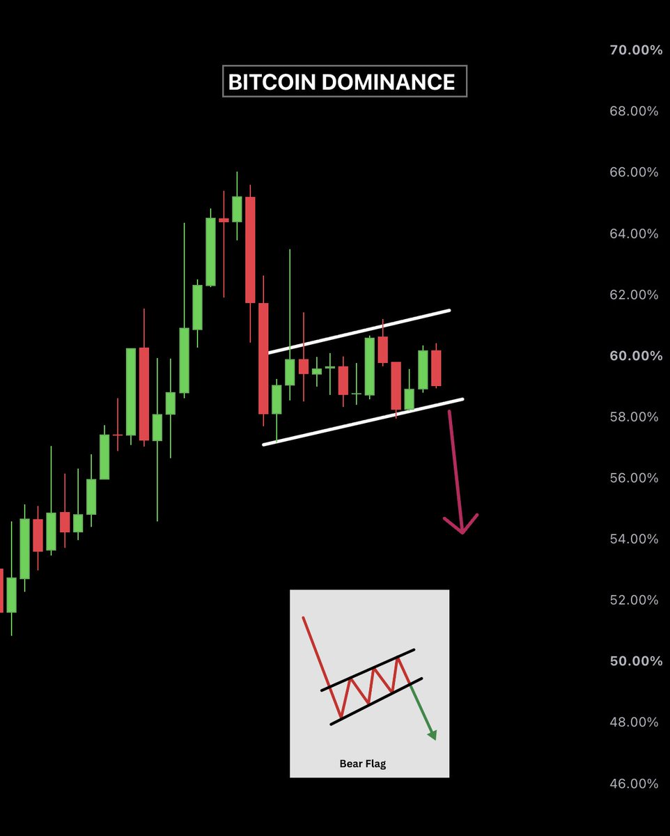 AshCrypto's tweet photo. Bitcoin Dominance has been forming a bearish flag for over a year.

Breakdown = Altseason. https://t.co/K6JbAPVvx6