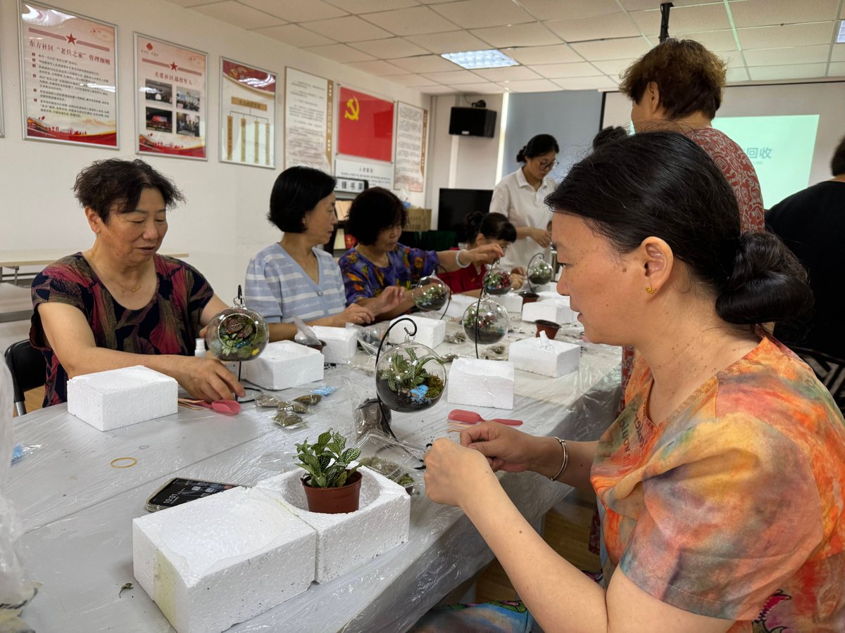 CherlySenfu6's tweet photo. Vente a nuestro taller comunitario de jardinería el sábado 10 de junio! Aprende a cultivar hortalizas sencillas, lleva tus propias semillas y conoce vecinos geniales. Entrada gratuita en el Parque Central a las 10 h. https://t.co/y6BsvqrwrS