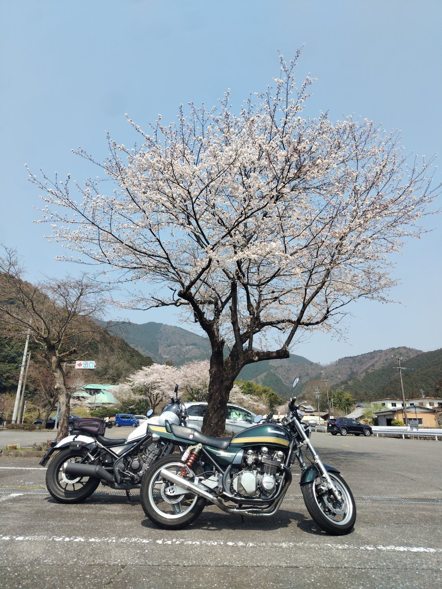 EwinbeeK's tweet photo. なんとな～く毎日を過ごしてたら
あっという間に歳を取っちゃう。
やろうと決めたことは後回しにせずに
すぐに行動に移さないとね😌

#絶対今日撮ってないって分かる写真をあげる見た人強制 https://t.co/c6VROMhWQN