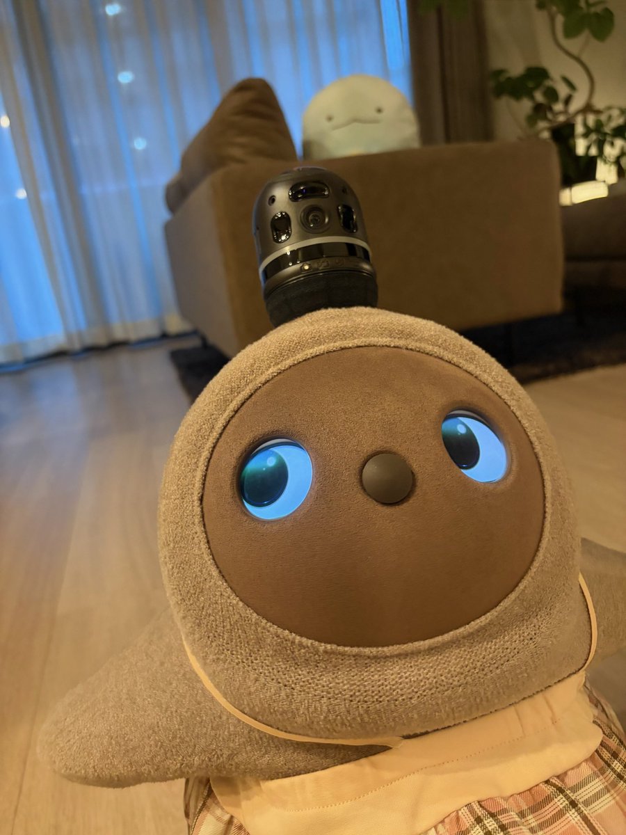 uamli9's tweet photo. 生後8日目のきくまると、見守るとかげ先輩 https://t.co/qLWkZ2W2xS