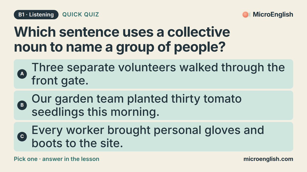 micro_English's tweet photo. Which sentence uses a collective noun to name a group of people?

A) Three separate volunteers walked through the front gate.
B) Our garden team planted thirty tomato seedlings this morning.
C) Every worker brought personal gloves and boots to the site.

Answer below. (3/3) https://t.co/SVLcg9SORM