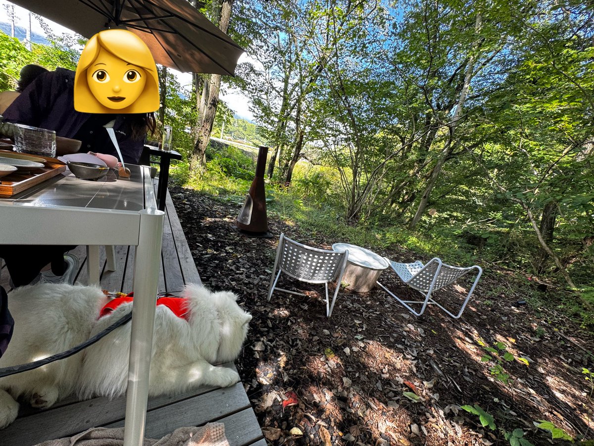 vaccine_02's tweet photo. 長野の住んでる地域付近ではでかい犬でも行ける飲食店がたくさんあるので楽しすぎるぞ。
今日はスープカレー(ご飯大盛り)です。 https://t.co/cdkJyjTbYM