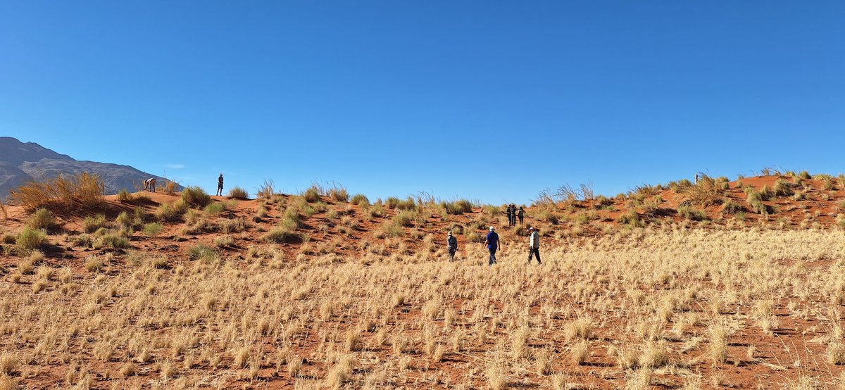 RandNamib's tweet photo. 🌍 Happy World Tourism Day!

At NamibRand, tourism is more than travel — it’s conservation in action. Every stay helps protect 188,980 hectares of desert wilderness, supports our team and keeps this landscape wild for generations.

Thank you for traveling with purpose. 💚 https://t.co/01oE88qXgU