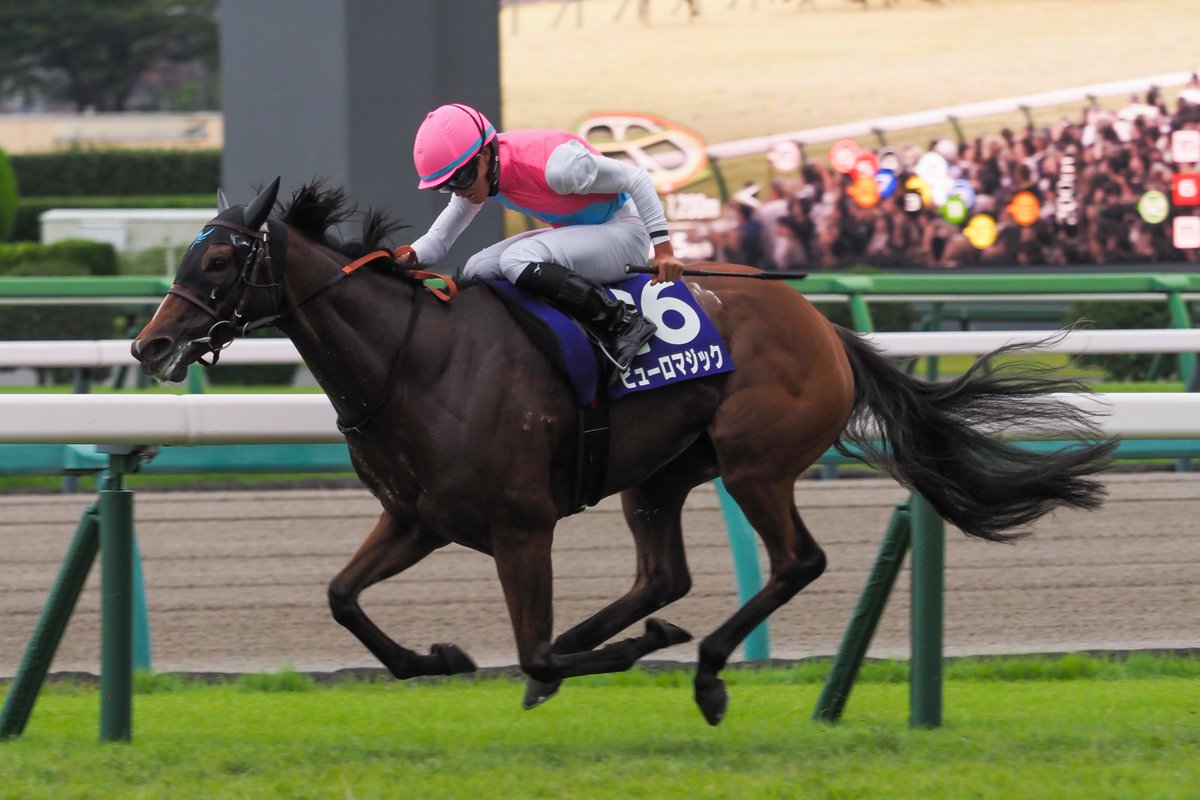 f_ltdexp_race's tweet photo. 2026.9.27
中山11R
第60回 スプリンターズステークス(GI)
ピューロマジック  岩田望来騎手

サマースプリント優勝馬は伊達じゃない
逃げ切って掴んだGI馬の称号 https://t.co/8T7rhoQmwl