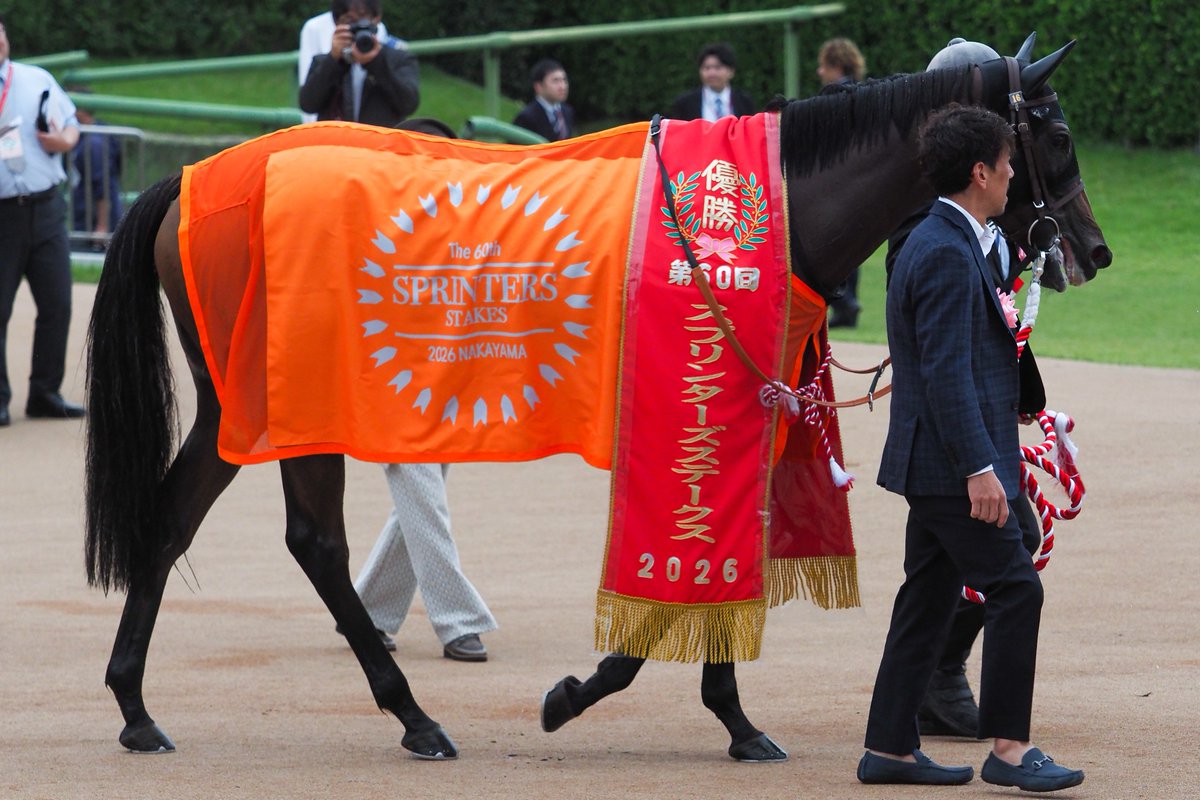 f_ltdexp_race's tweet photo. 2026.9.27
中山11R
第60回 スプリンターズステークス(GI)
ピューロマジック  岩田望来騎手

サマースプリント優勝馬は伊達じゃない
逃げ切って掴んだGI馬の称号 https://t.co/8T7rhoQmwl