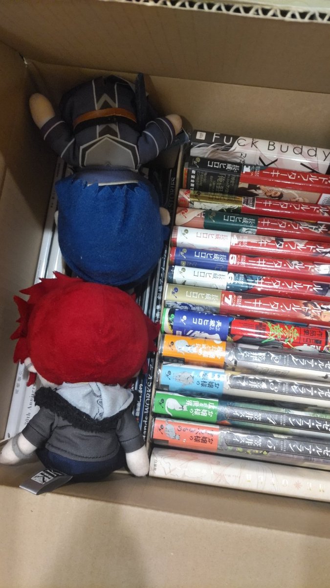 sgms7_op's tweet photo. ごめんね…双王……急いで詰めたの。許して……… https://t.co/1fTkEmKxBg