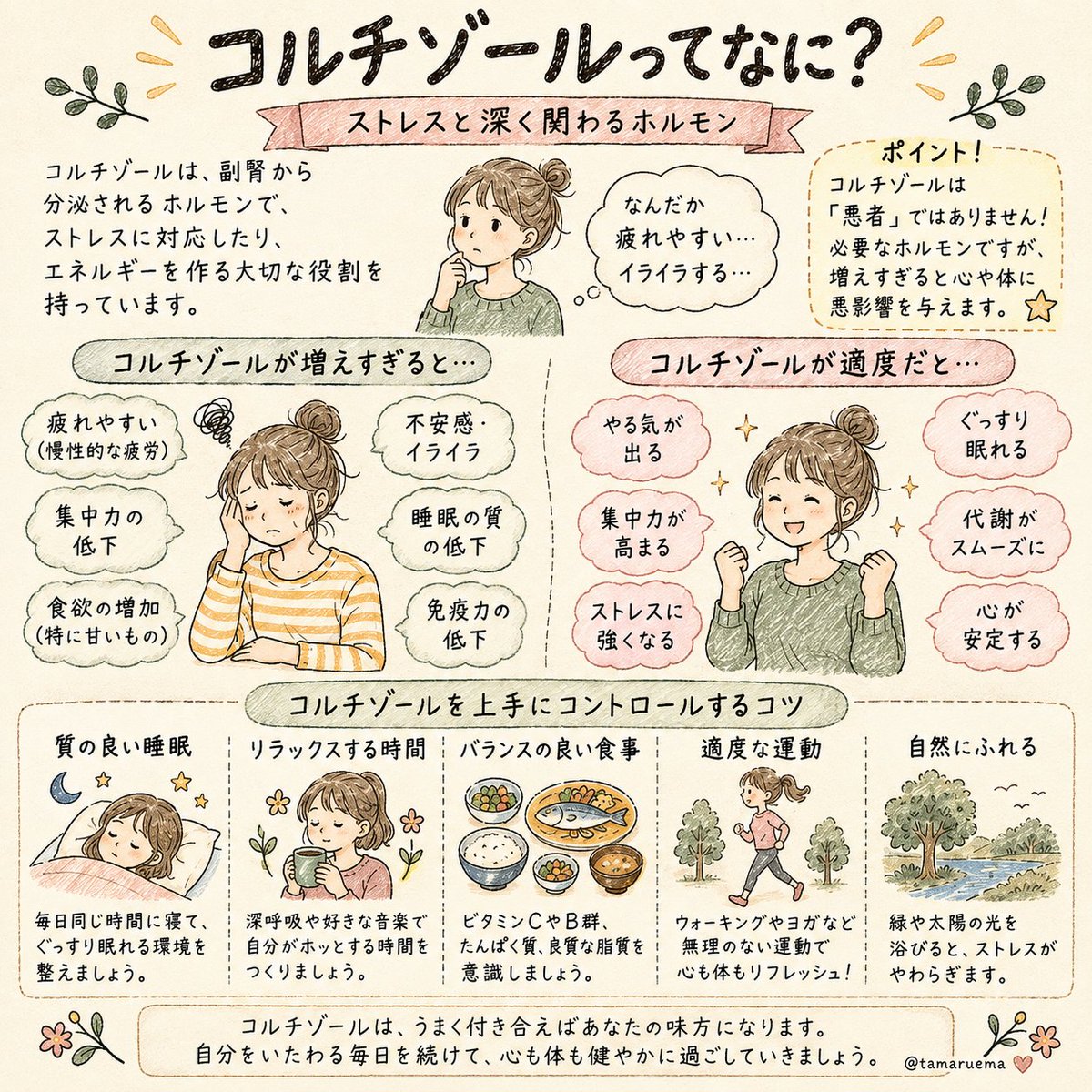 tamaruema's tweet photo. その不調、だいたいコルチゾール過多。

←そもそも何？　　　　対策は保存→ https://t.co/G5lvneW7PV