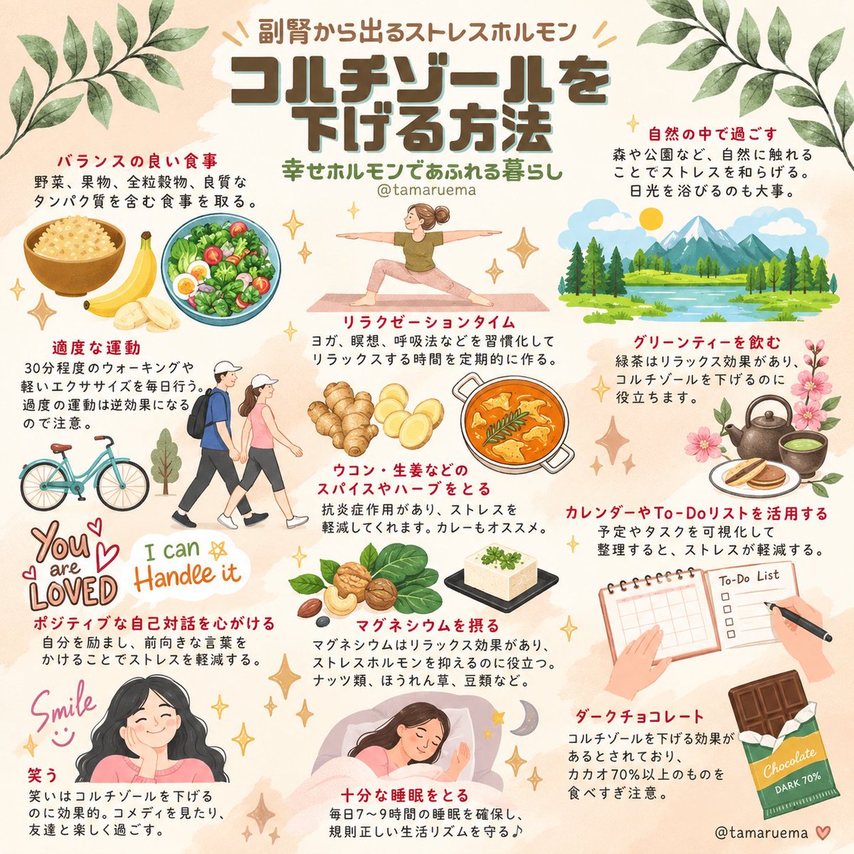 tamaruema's tweet photo. その不調、だいたいコルチゾール過多。

←そもそも何？　　　　対策は保存→ https://t.co/G5lvneW7PV