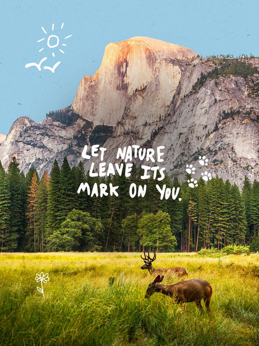 WWF's tweet photo. Have you ever let nature leave its mark on you? 🌿
 
Tell us about the place you'll carry with you forever 💚
.
.
.
#WorldTourismDay https://t.co/ldm0CO1OPE