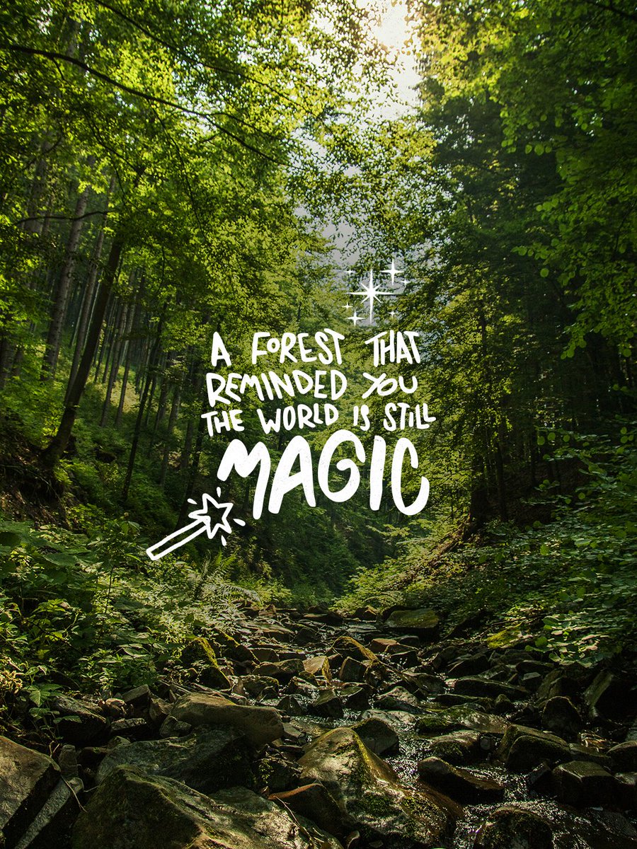 WWF's tweet photo. Have you ever let nature leave its mark on you? 🌿
 
Tell us about the place you'll carry with you forever 💚
.
.
.
#WorldTourismDay https://t.co/ldm0CO1OPE