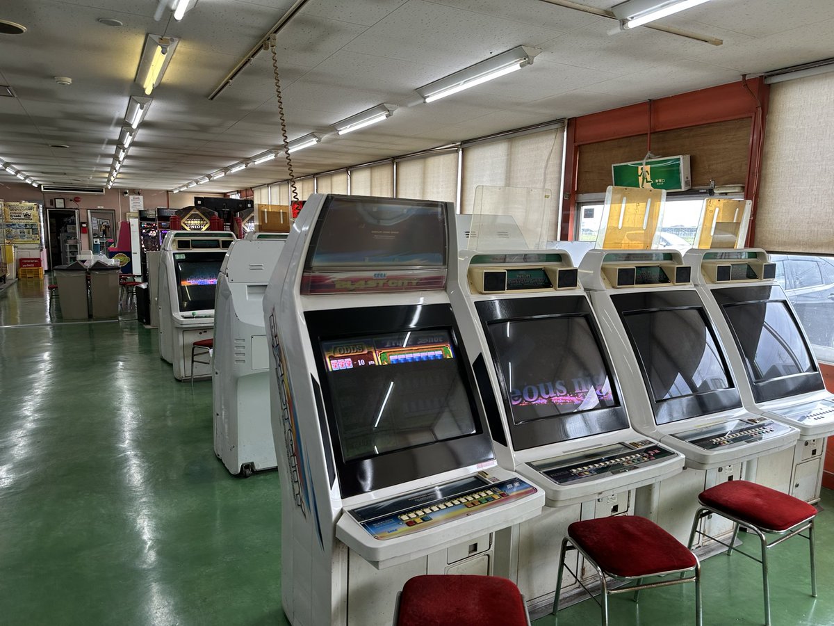 c_Elasmobranchi's tweet photo. 心が躍りました https://t.co/zVDs9aIiAP