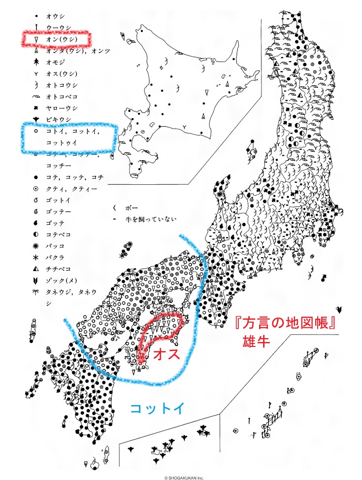 40010bun2's tweet photo. 特牛（こっとい）
おんしゃ、おんし、おんた・・など雄をしめす言葉がオンと思っていた。雄牛もオンタやオンコと呼んでいた。

そう思っていたら、四万十市西土佐橘に
女牛川（みょうじがわ）※地検帳はメウシ谷
男牛川（こっといがわ）※地検帳はコトイ谷
の小字があった。

『方言の地図帳』でみてみると、高知県にはオスとコットイが混在する。
高知市布師田「男牛谷」※地検帳はコツトイカ谷
四万十町大正大奈路「コトイノサコ」
四万十市西土佐江川崎「男牛谷」
オウシという小字がないことからも、中世・近世にはコットイと呼ばれていたのだろう。

『日葡辞書』にも「Cottoi　コットイ（特牛）去勢していない牡牛」とある。重い荷物を背に載せて運ぶ強靭な牛を古語で「事負い牛」というそうだ(万葉集）。