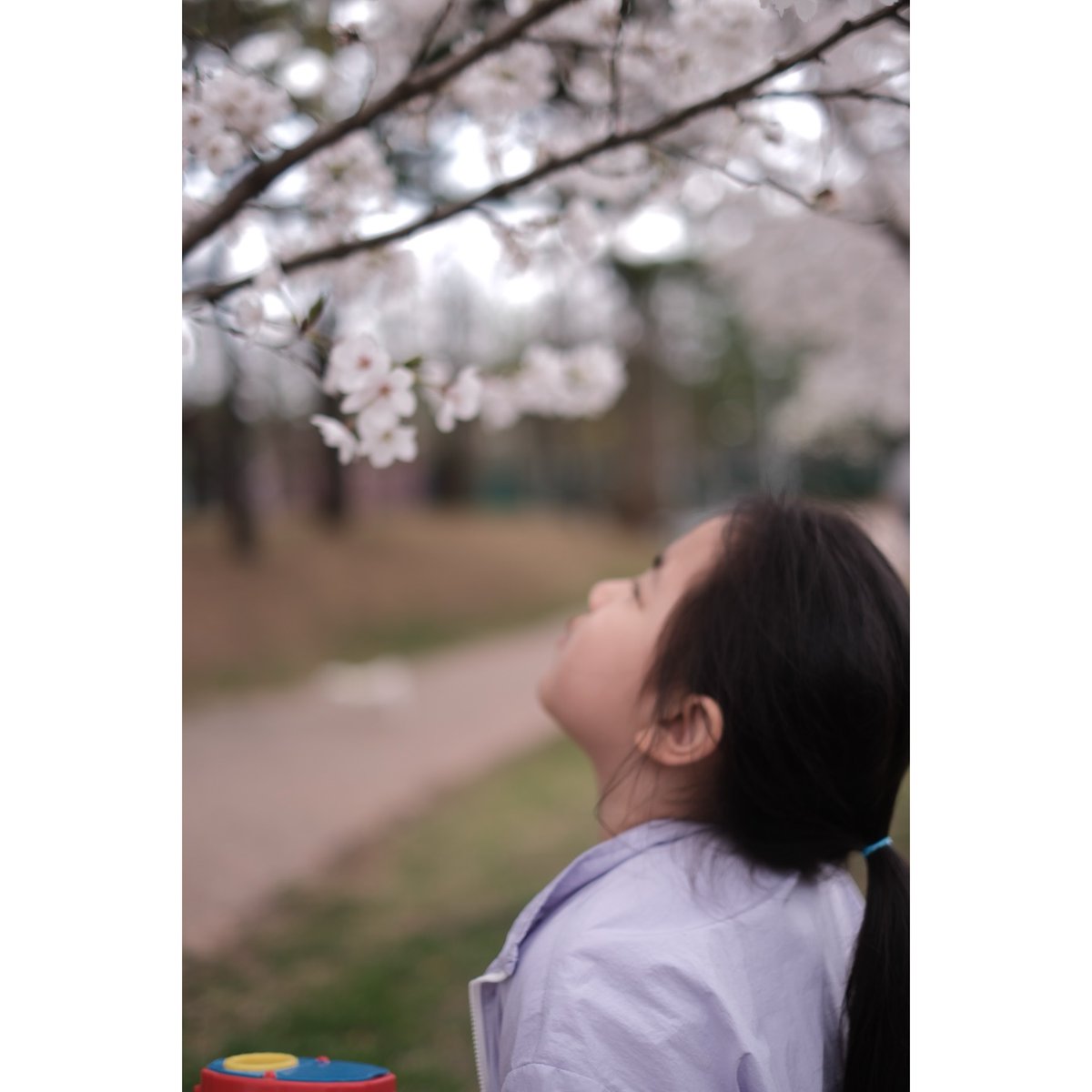 brooklynroac7b's tweet photo. Looking at flowers. My flower. My spring. My flower to cherish for a lifetime. 260404. 94/365. https://t.co/v9mj9saqW5