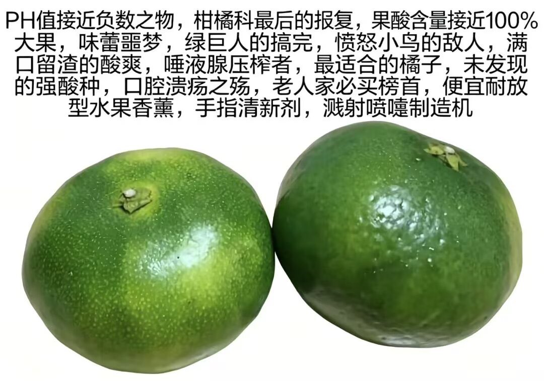 diwndodey's tweet photo. 又快到吃柚子和柑橘的季节了！🤤 https://t.co/4672vbpC7a