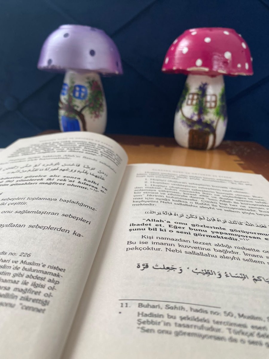 Dilekklsvrx's tweet photo. "Dünyanın geçici rüzgarlarına kapılmadan; Rabbani ve ilmi bir duruş için yönümüzü yine kitaplara döndük. Zamanı israf etmeyen, hakkı ve adaleti haykıracak bir gençlik için okuyorum✨📖 https://t.co/iklU6JW2ik