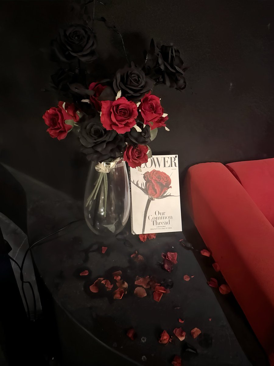 Amnld_'s tweet photo. 🥀🖤 https://t.co/YZzKiJRZ9X