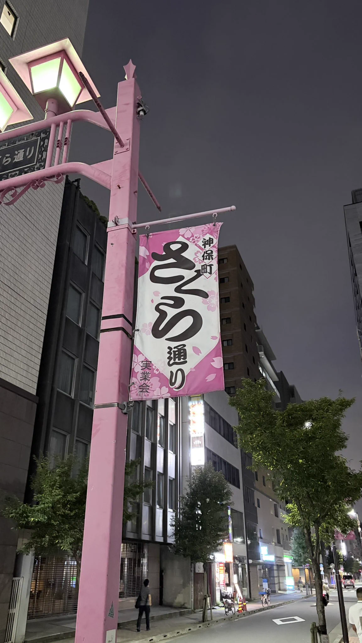 どんぐり💐🌸🐈 on X: 