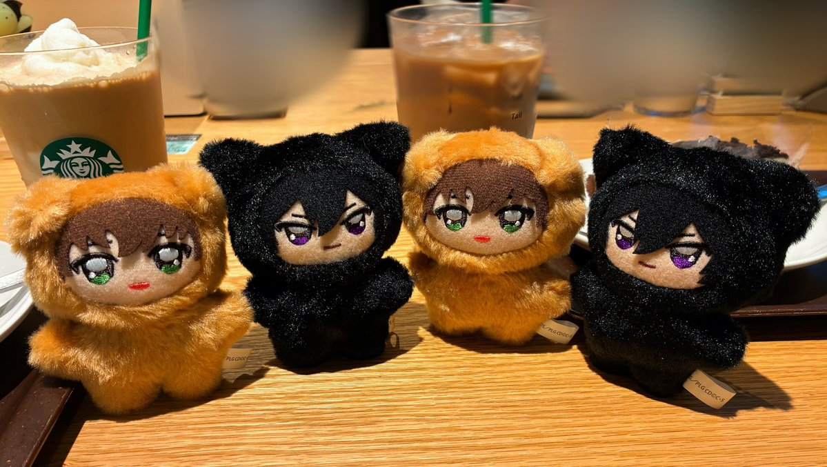 nekochan_kakera's tweet photo. あたらしいおともだちだよ〜 https://t.co/eDaceKpH3f