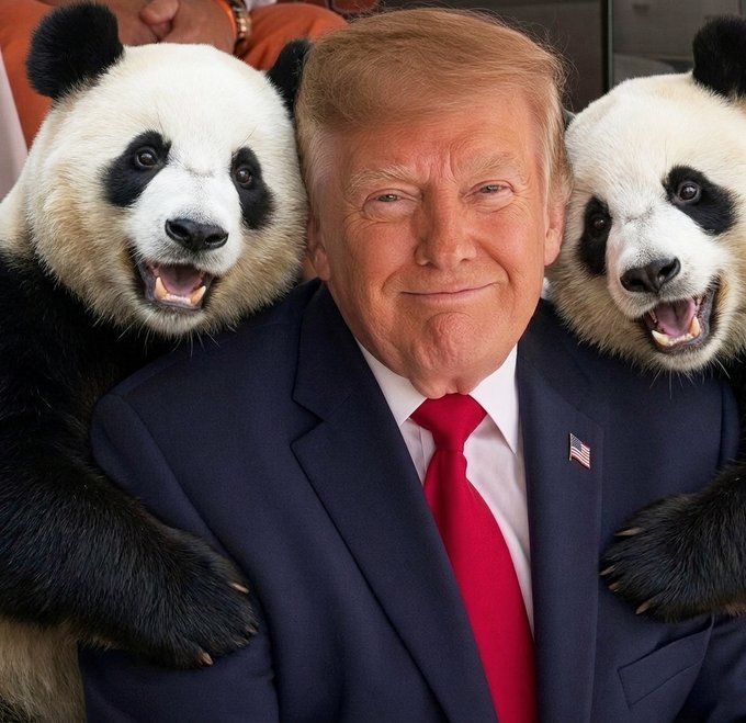 BarronTrumzst's tweet photo. CAN'T JUST LEAVE THEM HOME!!! https://t.co/RmeigUo7Hc