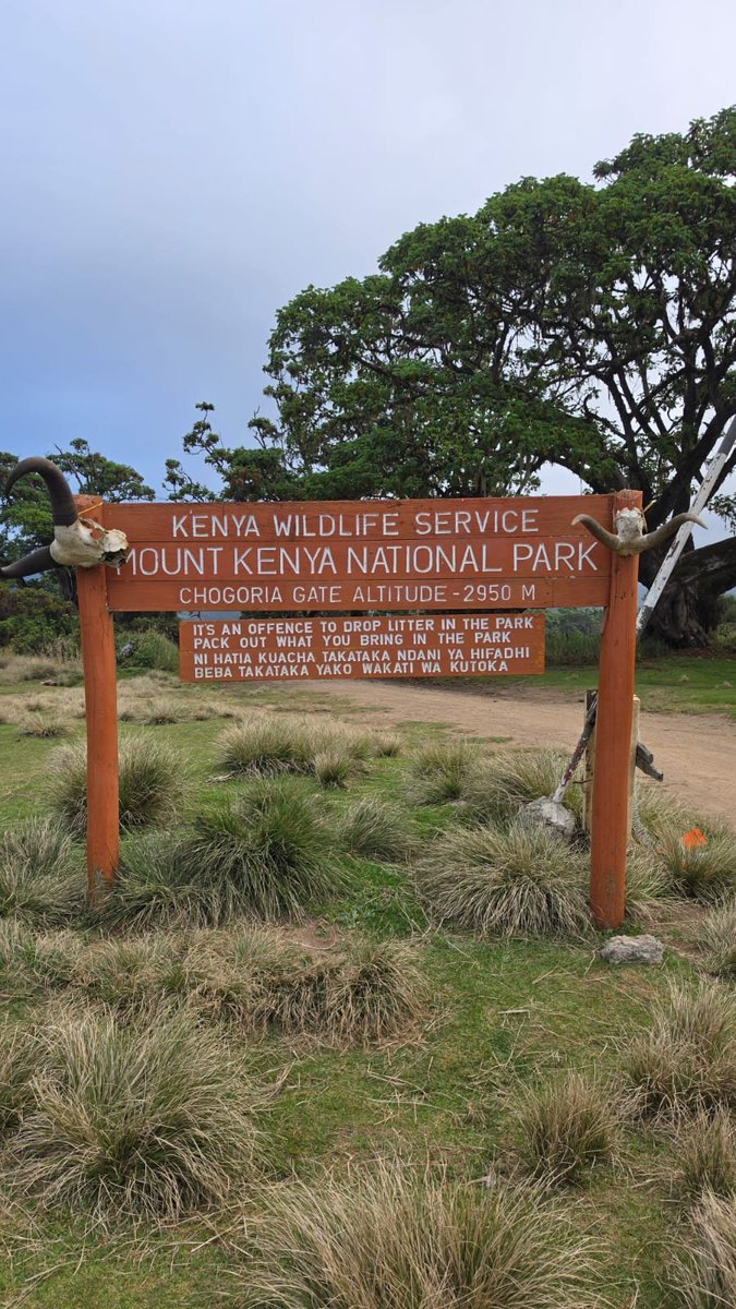 TMTrades254's tweet photo. Let move to the mountain and touch the grass ..Few minutes to Lake Ellis Mt Kenya https://t.co/7rmJVB73zl