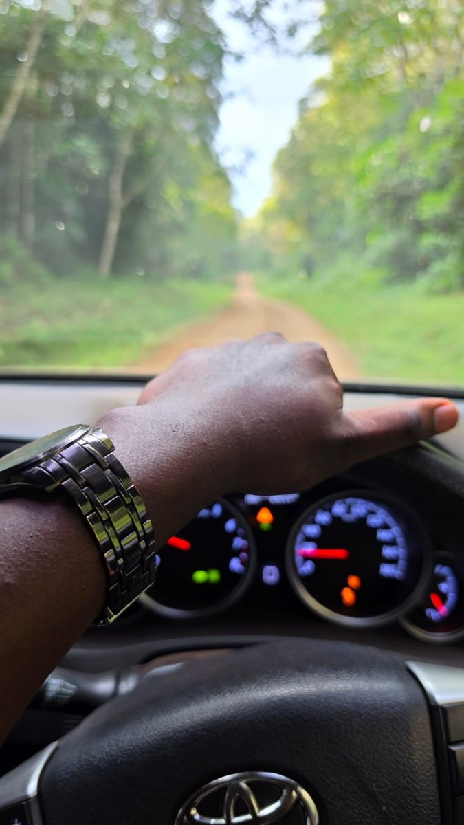 TMTrades254's tweet photo. Let move to the mountain and touch the grass ..Few minutes to Lake Ellis Mt Kenya https://t.co/7rmJVB73zl