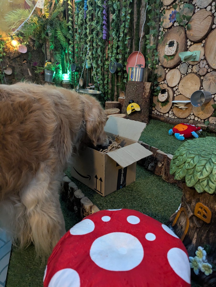 ablacktale's tweet photo. Me and Duds had lots of fun yesterday, we went to a sensory experience for my birthday. It was full of treats, toys, smells, sounds and enrichment activities 😍 https://t.co/Vk8JpSWVVy