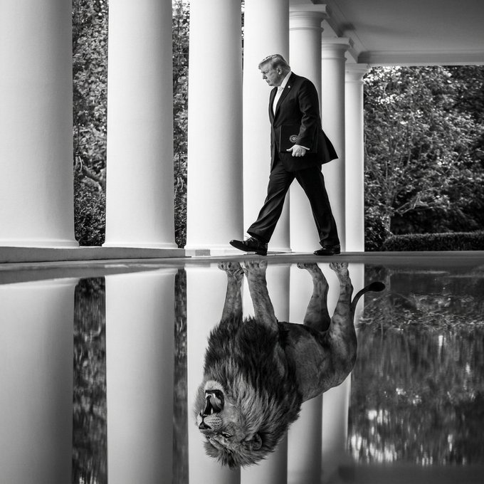BarronTrumzst's tweet photo. BOSS IN CONTROL!!!😎🇺🇸😘😘😘
#Trump #Q+followers #goldXRP #silverXLM https://t.co/IMhTj9rTXn