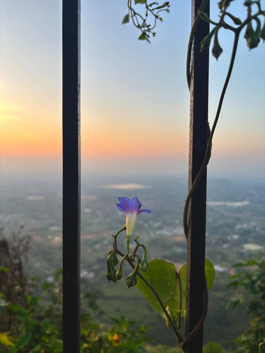 mekutanu's tweet photo. Ended up watching one of the most beautiful sunrises of my life. 
📍Nandi Hills https://t.co/u71EhN7jrt