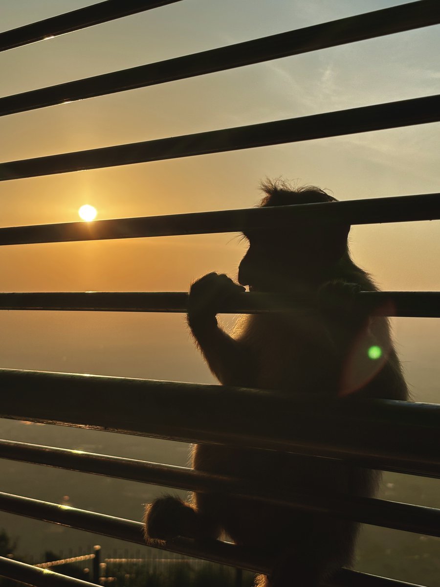 mekutanu's tweet photo. Ended up watching one of the most beautiful sunrises of my life. 
📍Nandi Hills https://t.co/u71EhN7jrt