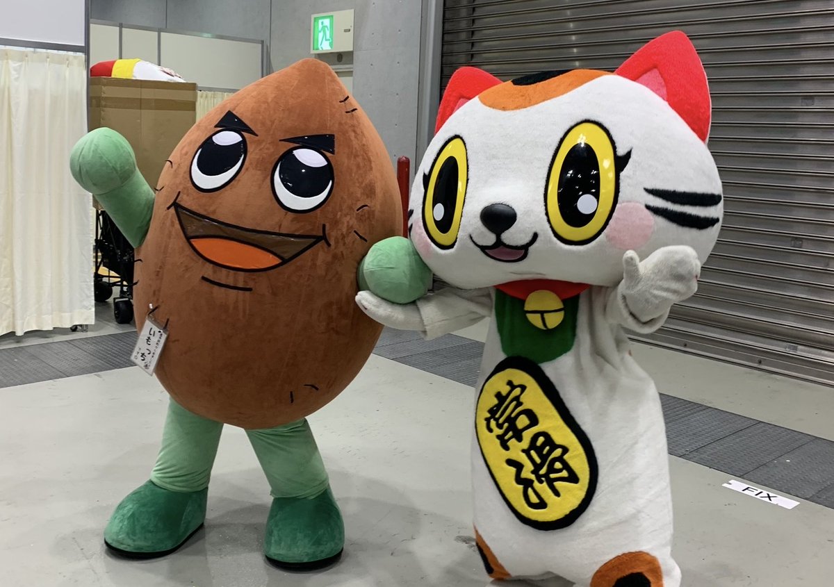 tokonamekanko's tweet photo. うまえもん、野國いもっち、猫ピッチャー、そらたん、せんだい杜の都親善大使さん、メキシコのお兄さん、たくさんの方に今日も会えたニャン♪

ちんすこう掴み取りも、メキシコのダンスも楽しかったニャン🍠🇲🇽

#ツーリズムEXPOジャパン
#トコタン https://t.co/rO1ojTDcap