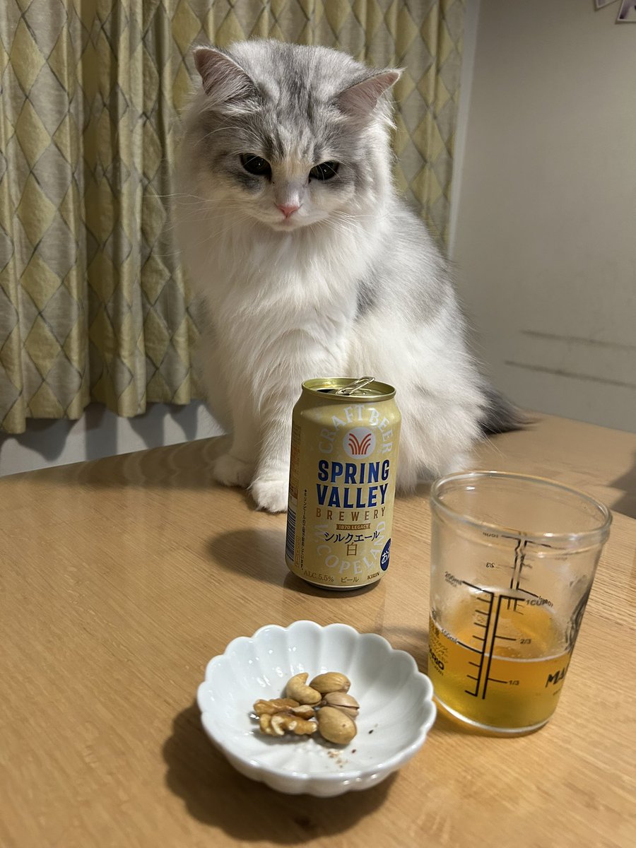 Nao10mk2's tweet photo. #今日のニャンショット 
おつまみが狙われている！ https://t.co/O54dFfiRVc