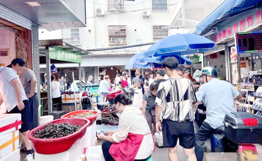 MapleBanne4c's tweet photo. Domingo de mercado comunitario en la plaza principal! Ven a compartir, probar comida local y llevarte artesanías hechas por vecinos. Te esperamos de 10 a 14 h, entrada gratuita. https://t.co/8amrmNz0um