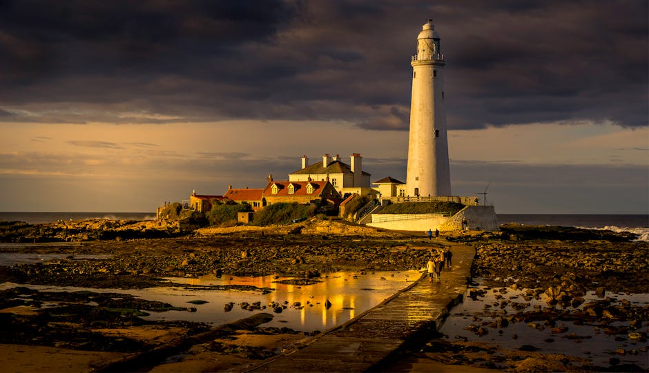 AmeliaRobepdm's tweet photo. هي منارة في الظلام. أمنيتك وجدت هذه شكرا يا صديقي. لقد أن المقالة هي قراءة مفيدة ورائعة. al loch https://t.co/JSJlPXdWqF