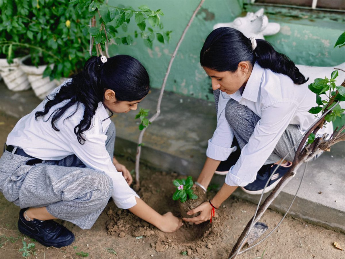 ssjgcsirsa1997's tweet photo. #EcoClub of Shah Satnam Ji Girls' College celebrated #WorldEnvironmentalHealthDay on the theme "Environmental Health: Standing with Science to Protect Communities." Activities included Plantation Drive, Speech Competition, Poster Competition and Water &amp; Sanitation Awareness. https://t.co/vs4A6nnADE