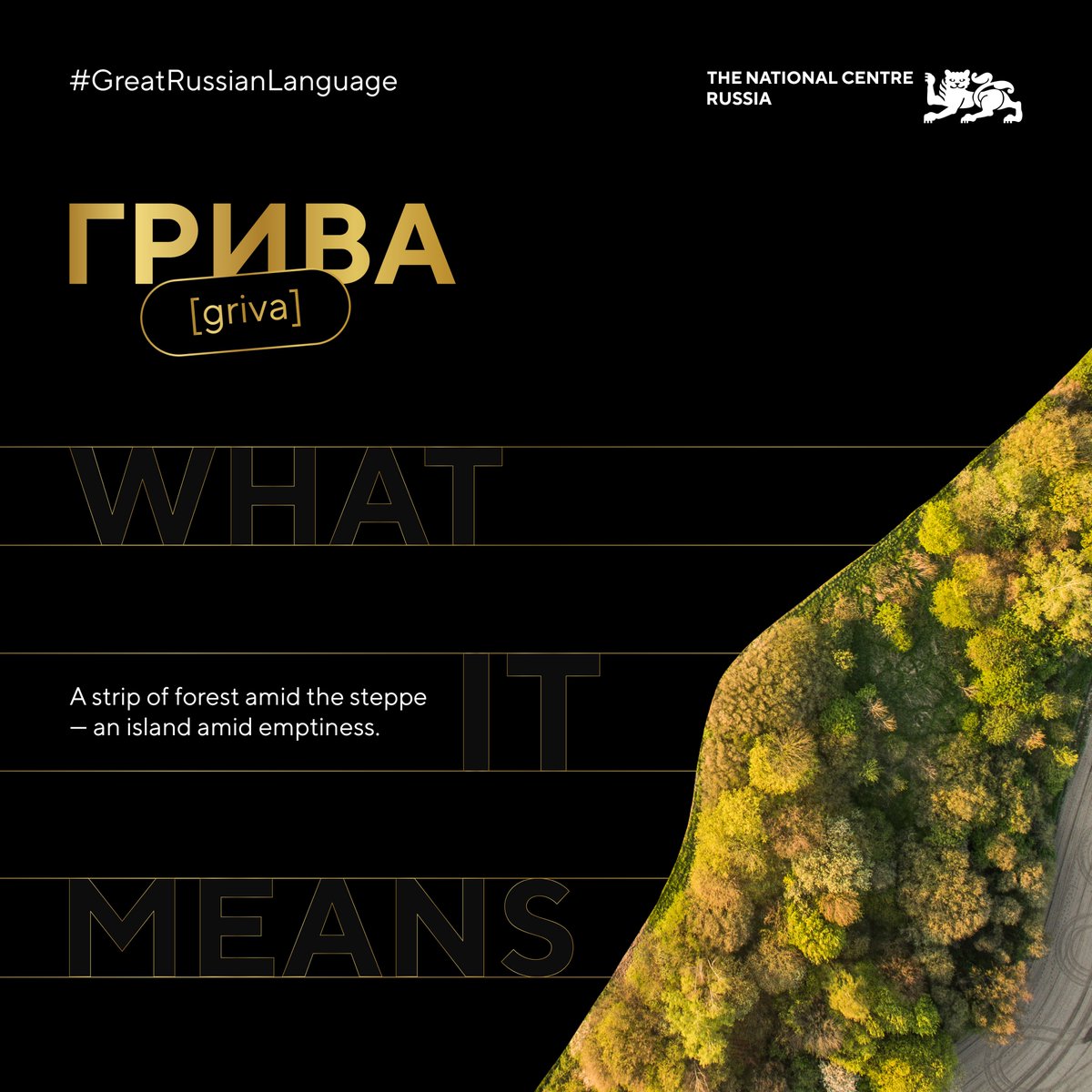 gowithRussia tweet picture