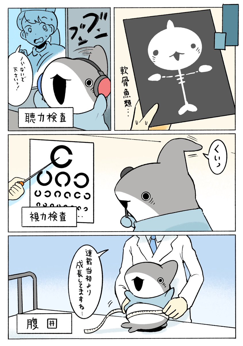 Penguinbox1's tweet photo. はたらく子ザメ！ けんこうしんだん　2/2 https://t.co/68JfEGobm5