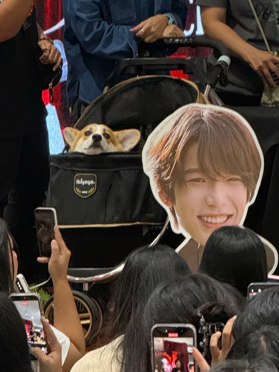 krpl88's tweet photo. เต้มกะเน้ก 🥹🥹🥹🥹🥹 https://t.co/i0fym2L69g
