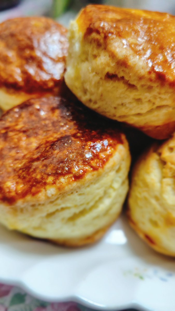 _xiaochi_'s tweet photo. こんな時間ですが、おいしいスコーンが焼き上がりました✌ https://t.co/FZjEFjwrJj