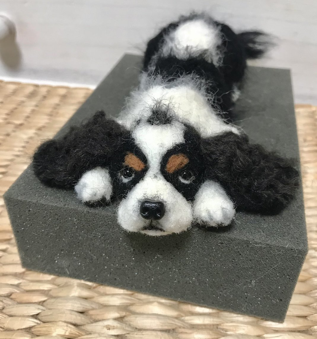 katoreauni's tweet photo. #キャバリア
#オーダー犬
#羊毛フェルトオーダー犬
上目使いの子❣️ https://t.co/i7aO79a8YF
