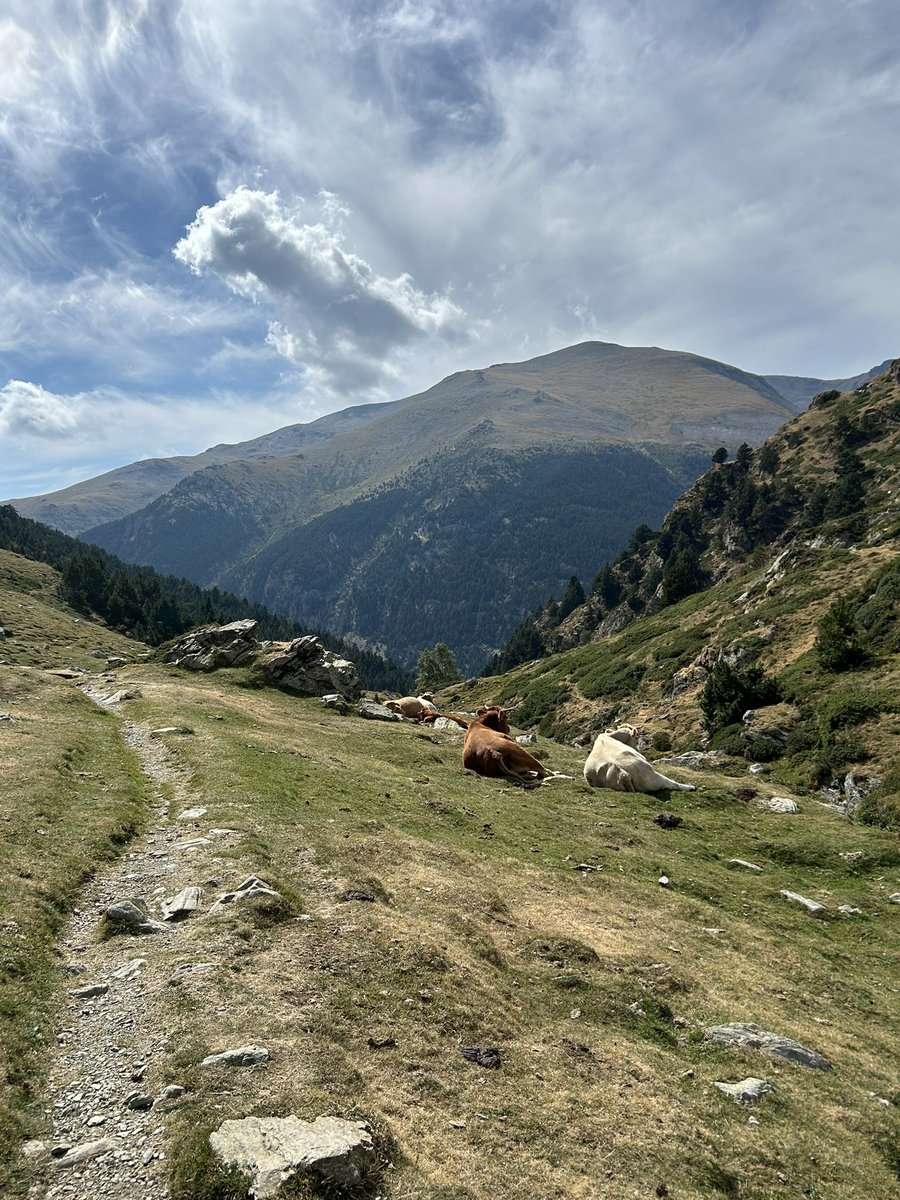 Tabe_24's tweet photo. Vall de Núria 一番メジャーだけど美しいルート。頂上のPic de Noucreusを目指しNuriaに戻るコース。だいたい12キロくらいだけど頂上までは2,799m、6歳娘の初2000m超えトレッキング🥾ほんと頑張った😭これから色んな山に4人で行けるの嬉しすぎる⛰️ https://t.co/iFHA1Z0FuT