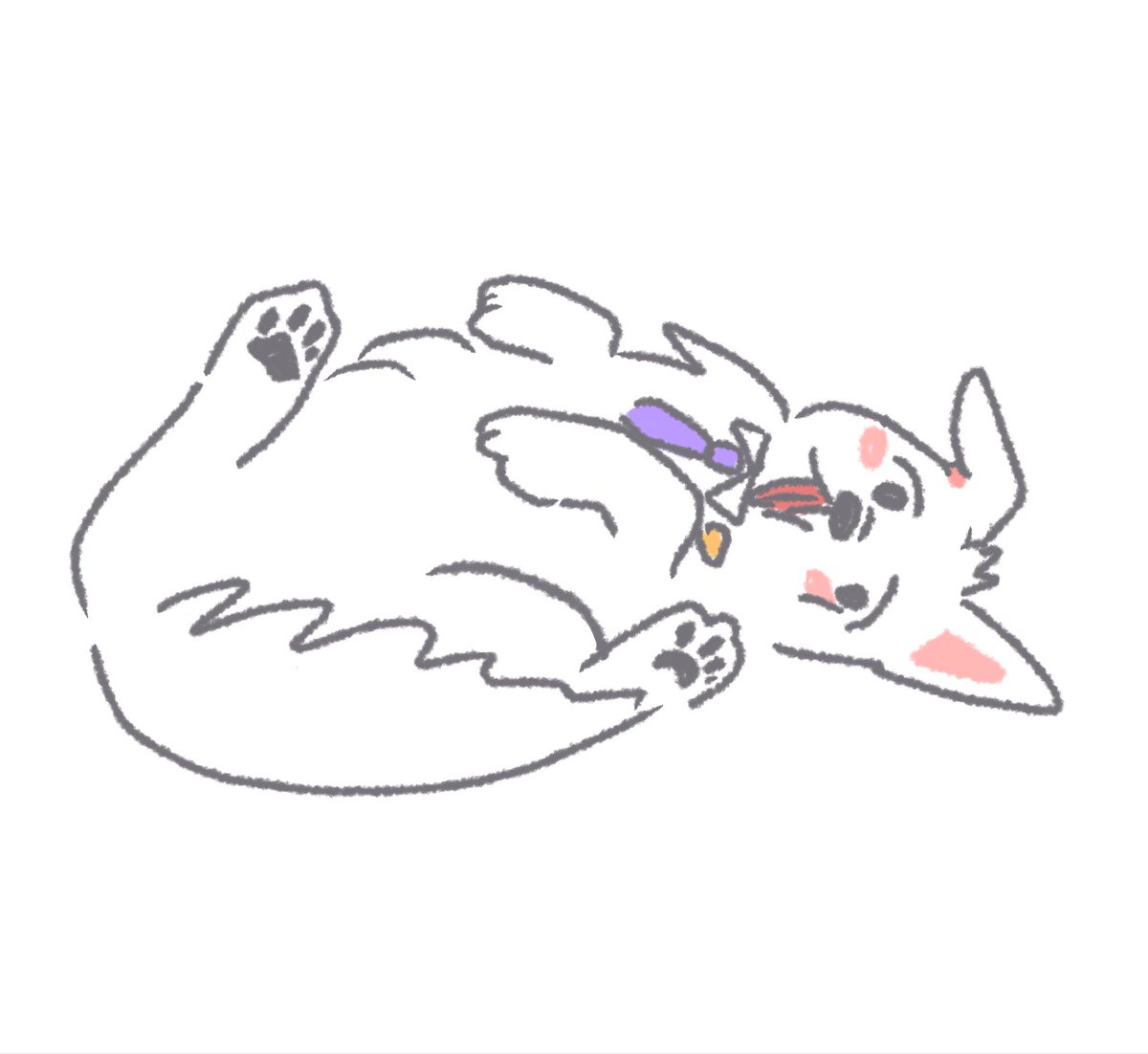b_rpn0010's tweet photo. ごろん
#しろっぽ https://t.co/f9fDtLSm2F